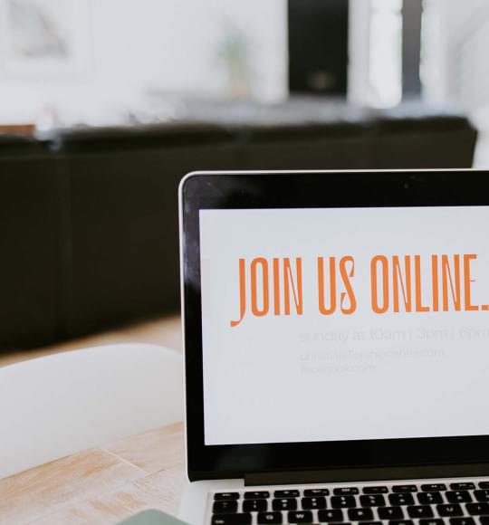 Highest Rated Online Courses